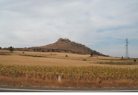 Castillo de Gormaz y girasoles.JPG