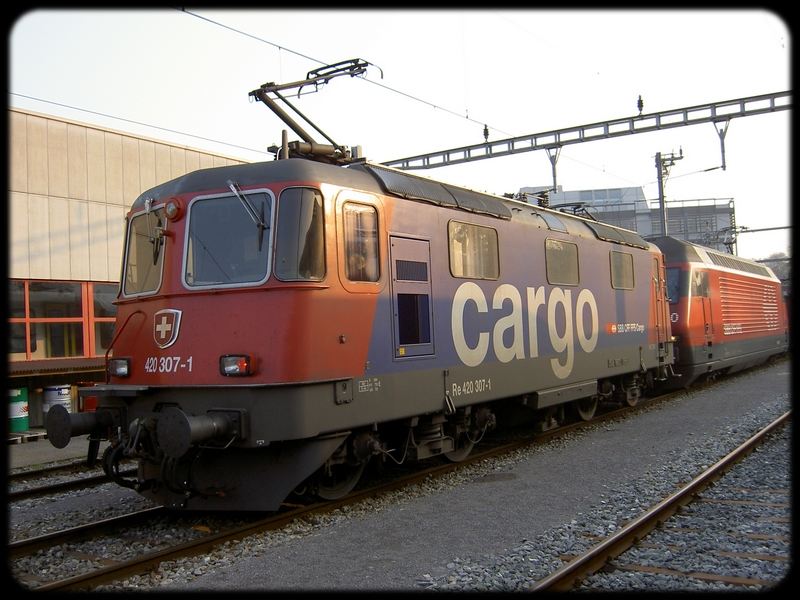 02} Re 420 307-1 Cargo.jpg