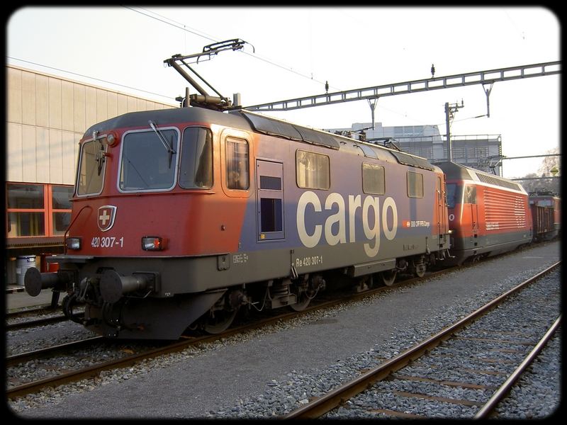 01} Re 420 307-1 Cargo.jpg