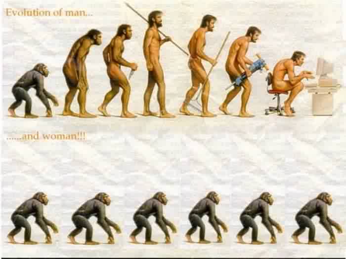 Evolution2.jpg