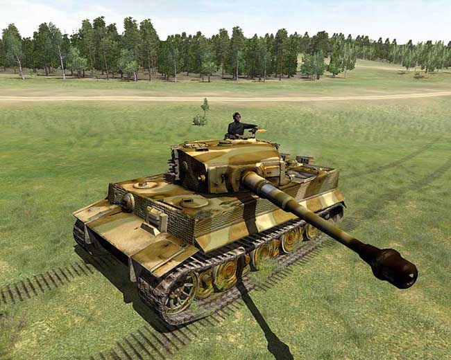 tiger2.jpg