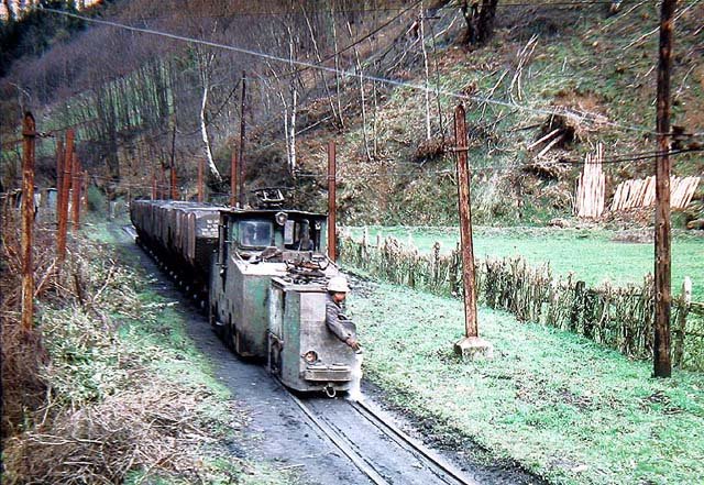 Cerezal.jpg (139.46 KiB) Visto 15646 veces Cerezal.jpg